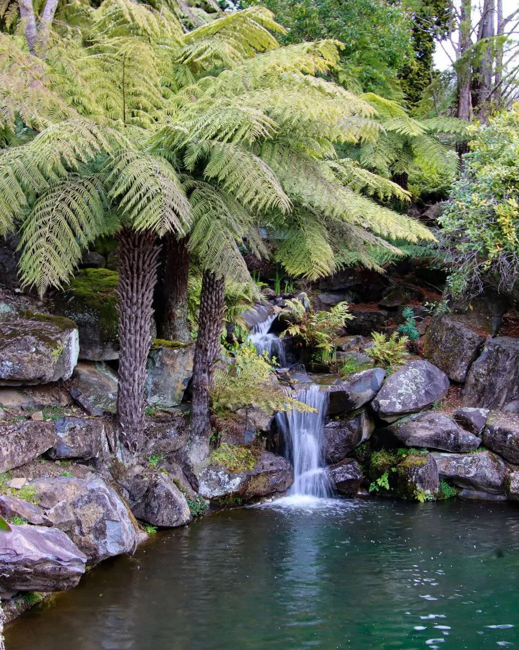 Blue Ridge Alchemy | What Is the Best Route to the Blue Mountains? Blue Mountains Botanic Garden