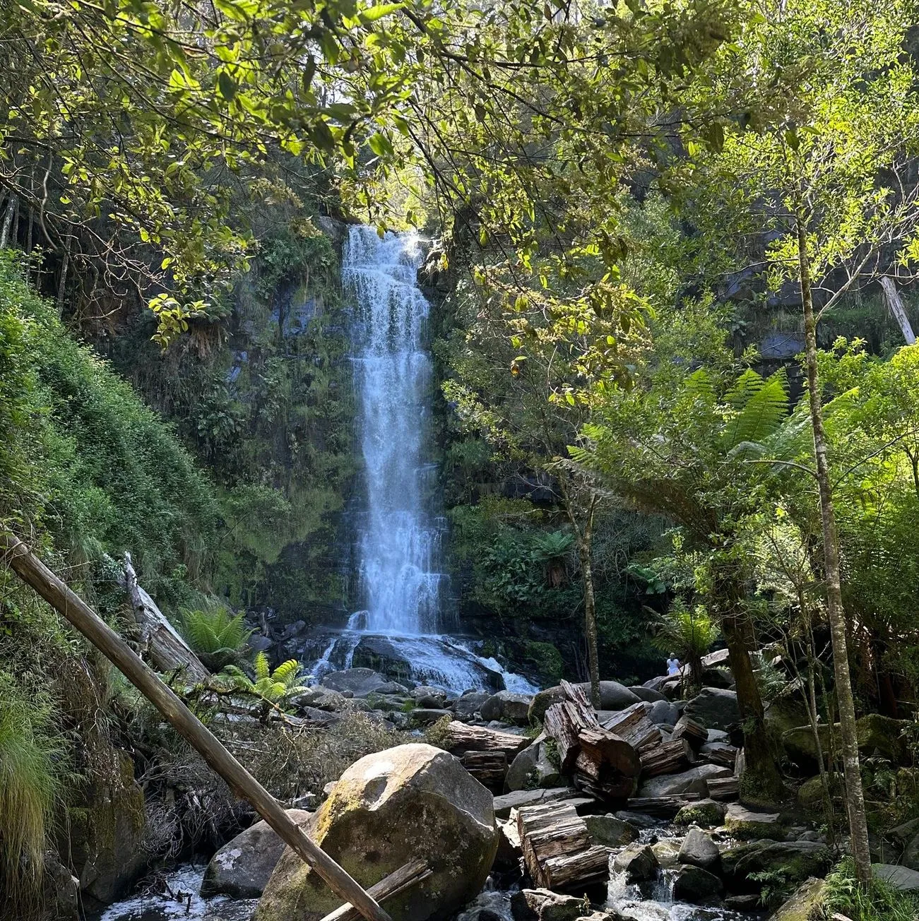 Great Otway National Park