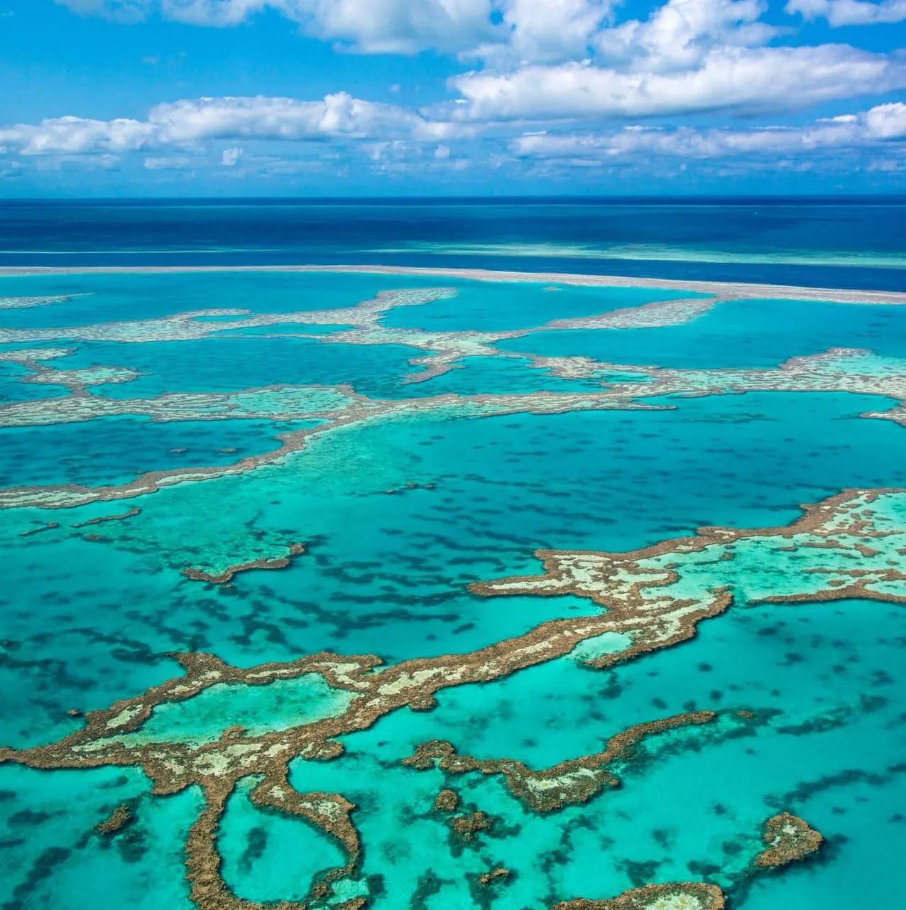 Your First Look At The Reef’s Depths