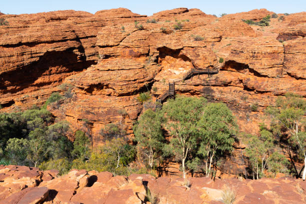 Day trips from Uluru to Kings Canyon