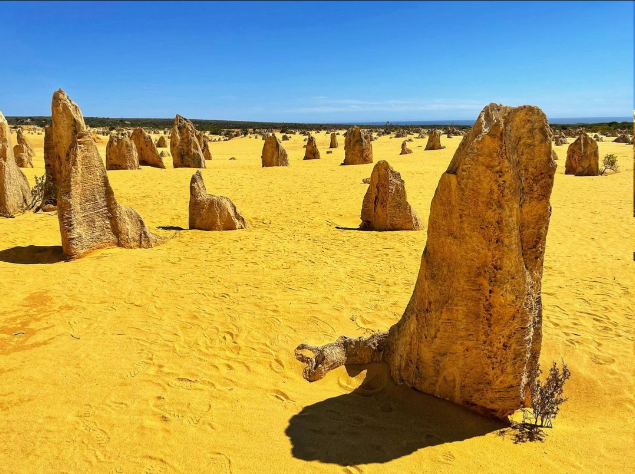 Blue Ridge Alchemy | Unearthing the Aboriginal History of The Pinnacles in Nambung National Park