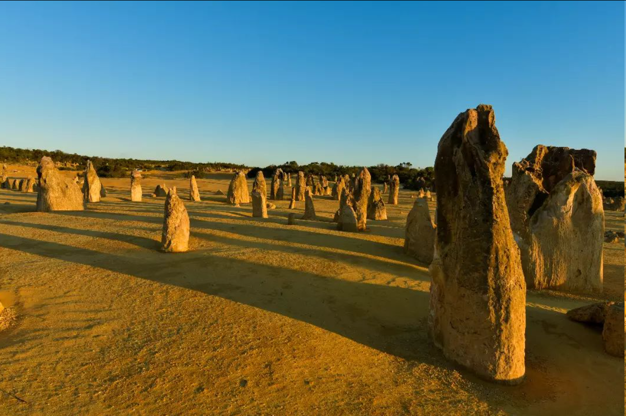 Uncover the best of Perth with Pinnacle Tours