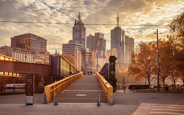 Discover the Wonders of Melbourne through Expertly-Guided Excursions