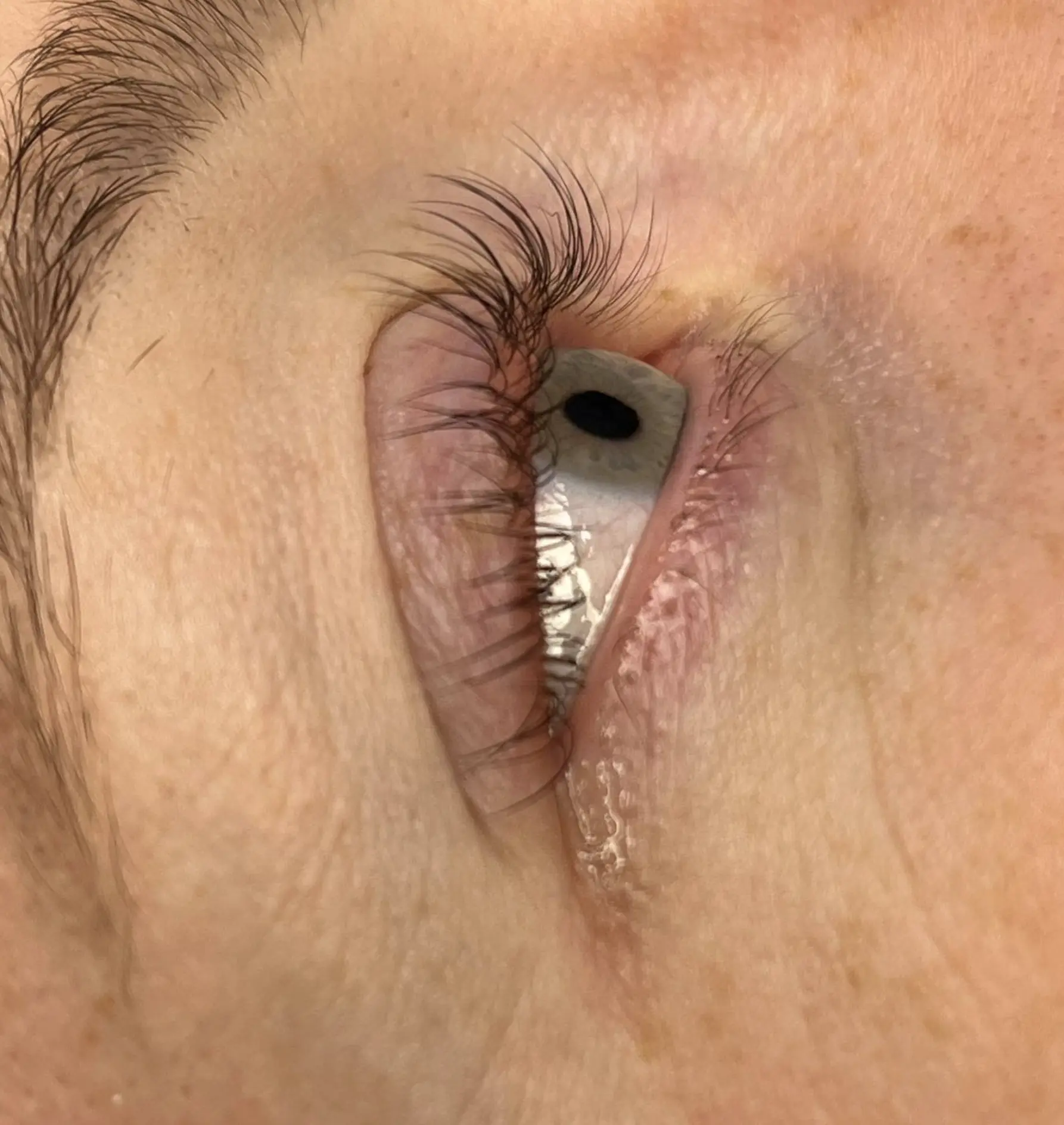 Blue Ridge Alchemy | What if you don't like your lash extensions? lash style consultation