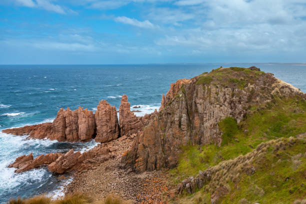 Discover the charm of Phillip Island Penguin Encounters